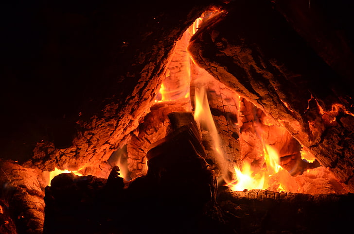 primer plano de bonefire, madera, fogata, fuego, naranja, Fondo de pantalla HD