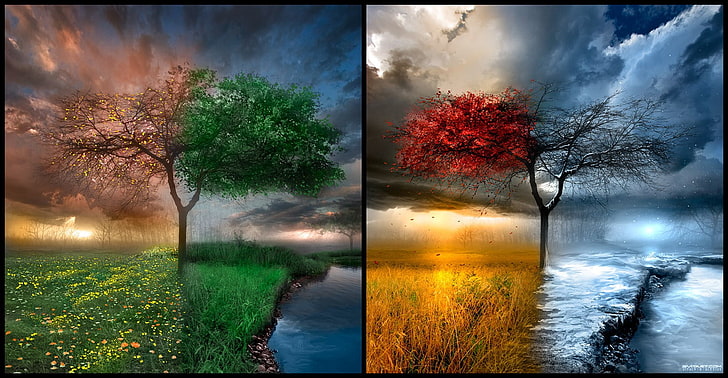 four seasons tree painting, landscape, trees, water, clouds, seasons, collage, nature, artwork, winter, spring, summer, fall, HD wallpaper
