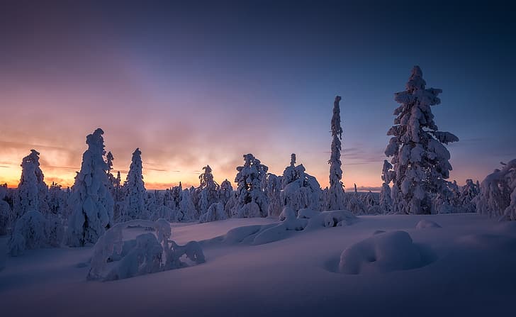зима, сняг, дървета, залез, снегът, Финландия, Лапландия, Ylläs, Äkäslompolo, Akaslompolo, HD тапет