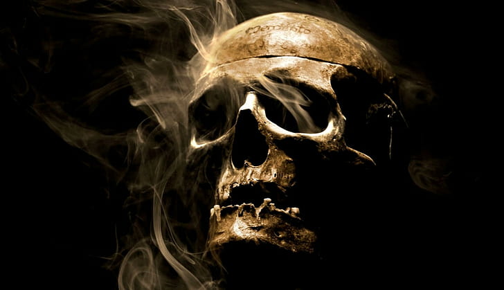 smoke, skull, artificial lights, HD wallpaper