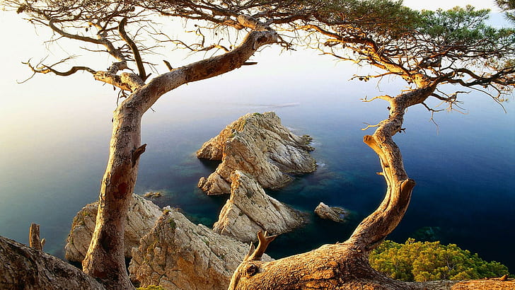 Costa Brava In Spain, trees on mountain side near body of water, trees, rocks, coast, nature and landscapes, HD wallpaper