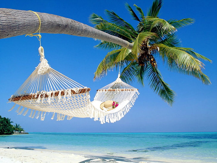 white hammock, Man Made, Hammock, Beach, Hat, Ocean, Palm Tree, Tree, HD wallpaper