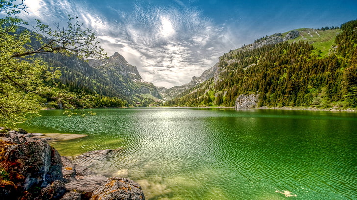nature, landscape, lake, mountains, forest, clouds, summer, emerald, water, Switzerland, HD wallpaper