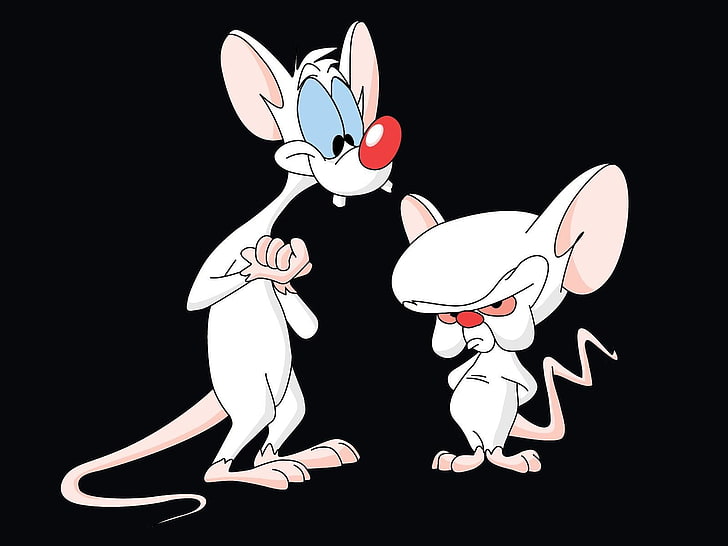 white mouse illustration, TV Show, Pinky And The Brain, HD wallpaper