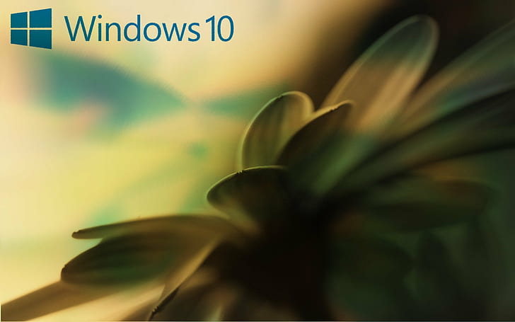 window windows 10 microsoft windows windows vista windows xp ms dos, HD wallpaper
