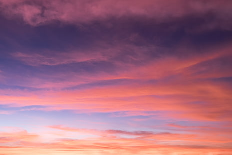 غيوم البحر الرمادي ، السماء ، الغيوم ، غروب الشمس ، الخلفية ، الوردي ، الملونة ، السماء ، جميلة، خلفية HD HD wallpaper