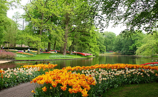 gardens, keukenhof, nature, netherlands, parks, pond, trees, tulips, wallpapers, HD wallpaper HD wallpaper