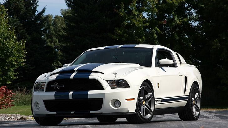 Shelby Mustang GT 500 2010, voiture blanche, voitures, 3840x2160, ford, shelby, shelby mustang, Fond d'écran HD