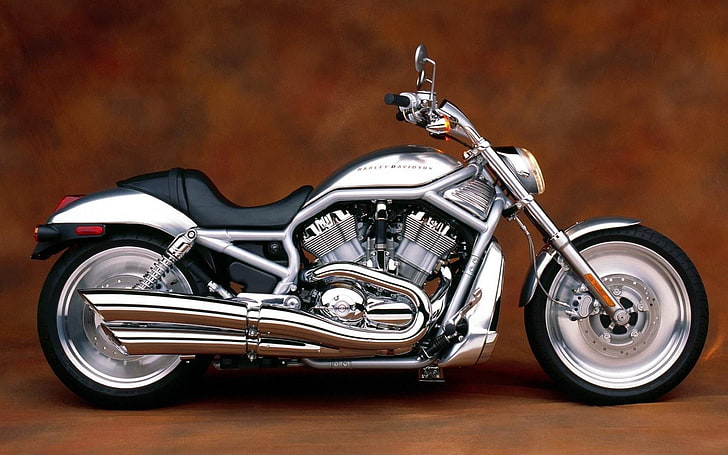 Harley Davidson V Rod, moto cruiser grise et noire, Motos, Harley Davidson, Fond d'écran HD