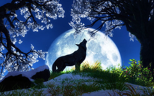 noir, lune, loup-garou, blanc, loup, Fond d'écran HD HD wallpaper