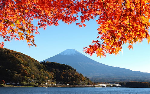 Japan, mount Fuji, autumn, red leaves, Japan, Fuji, Autumn, Red, Leaves, HD wallpaper HD wallpaper