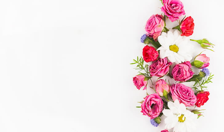 putih, bunga, latar belakang, mawar, karangan bunga, Wallpaper HD