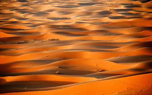 Afrika, Marocko, öken, Sahara sanddyner, Afrika, Marocko, öken, Sahara, sanddyner, HD tapet HD wallpaper
