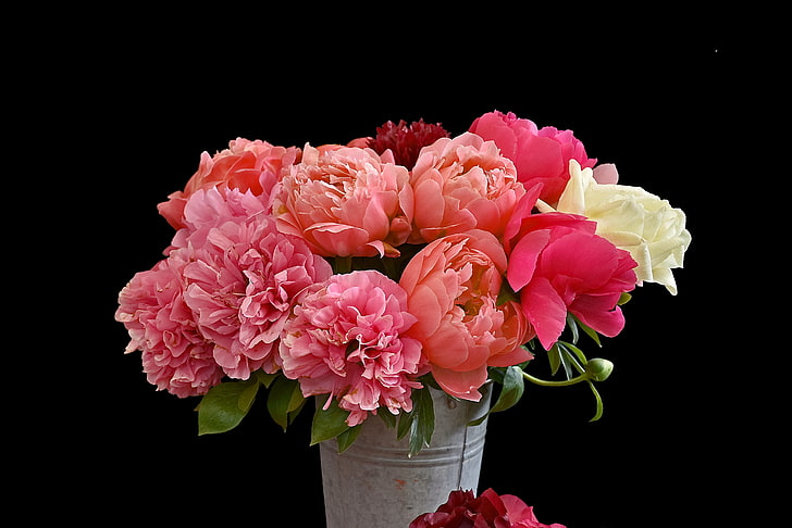 pink and white flowers, bouquet, bucket, black background, peonies, HD wallpaper