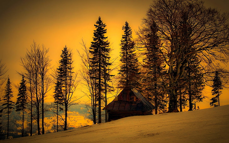 언덕 집 겨울 일몰 자연 겨울 HD 아트, 겨울, 나무, 집, 일몰, 언덕, HD 배경 화면