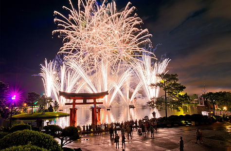 Walt Disney World Fireworks, orange fireworks, Holidays, New Year, Fireworks, Party, Epcot, Walt Disney World, HD wallpaper HD wallpaper