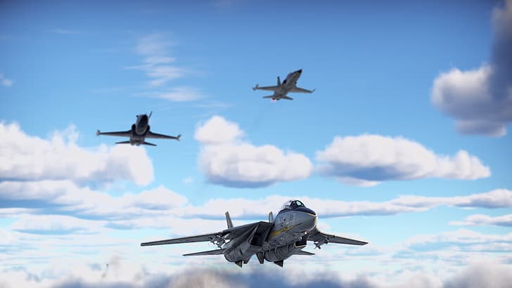 F-14 Tomcat, War Thunder, екранна снимка, реактивен изтребител, самолет, Top Gun, HD тапет