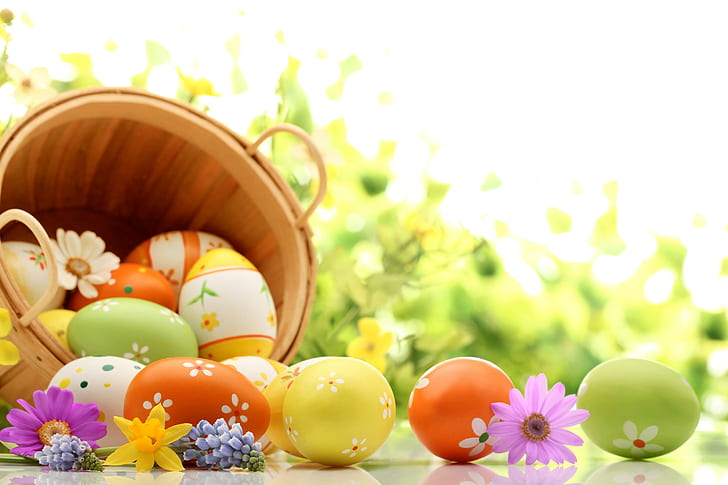 Holiday Easter Daisies, Holiday, Easter, daisies, Eggs, baskets, photo, HD wallpaper