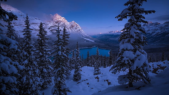 木、カナダ、アルバータ、バンフ国立公園、ペイトー湖、モミ、国立公園、雲、山塊、山の風景、冬、凍結、荒野、山、山脈、山岳地形、自然、空、雪、 HDデスクトップの壁紙 HD wallpaper