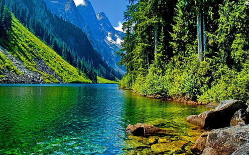 Nature-Landscape-clear mountain river-stone-pine forest dan puncak pegunungan-Desktop Wallpaper HD-4780, Wallpaper HD HD wallpaper