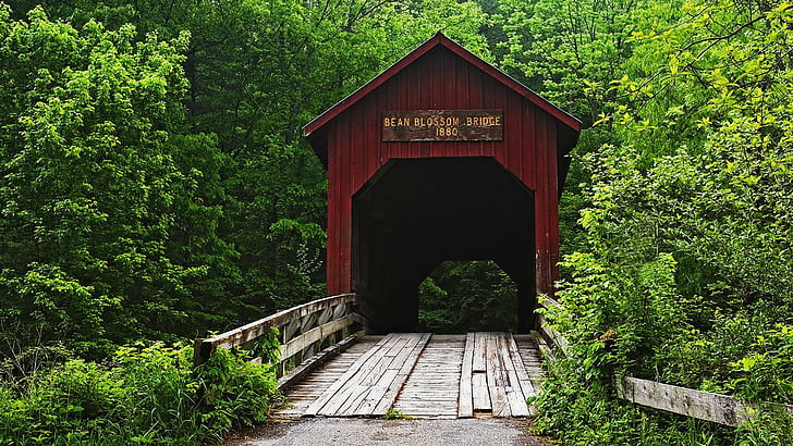 A Covered Bridge, trees, covered, green, bridge, nature and landscapes, HD wallpaper