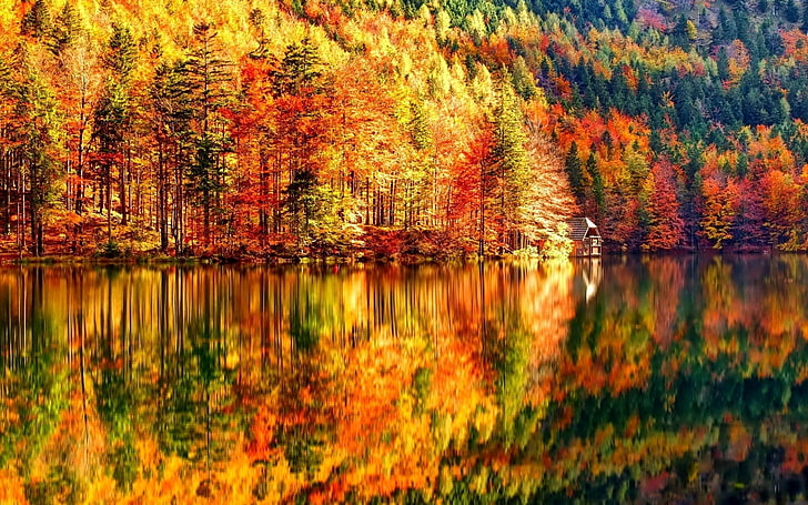 imagens de outono para desktop de fundos, HD papel de parede