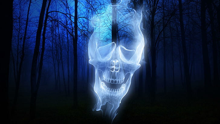森の幽霊の頭蓋骨、自然、ハロウィーン、幽霊、森、自然と風景、 HDデスクトップの壁紙