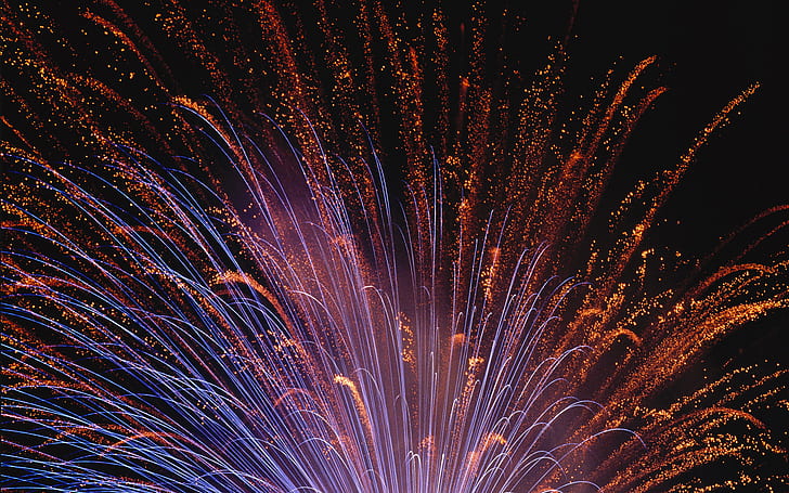 Photography, Fireworks, HD wallpaper