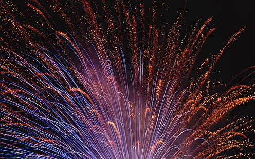 Photography, Fireworks, HD wallpaper HD wallpaper