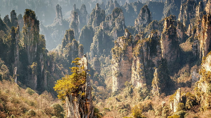ภูเขา, zhangjiajie, จีน, เอเชีย, ยอด, สถานที่ถ่ายทำ, วนอุทยาน zhangjiajie, ป่าหิน Zhangjiajie, หูหนาน, สัญลักษณ์, ภูเขา Hallelujah, ป่าหิน, ป่า, วอลล์เปเปอร์ HD