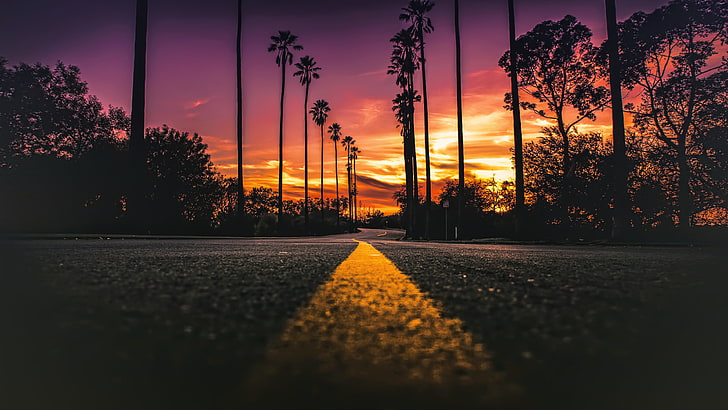graue Betonstraße, graue Betonstraße mitten in Bäumen, Kalifornien, USA, Straße, Sonnenlicht, Straße, Sonnenuntergang, Wurmperspektive, HD-Hintergrundbild