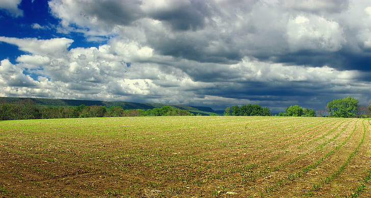 farm field during cloudy day, Columbia, Wildlife Management Area, Revisit, farm, field, cloudy, day, New Jersey, Warren County, Knowlton Township, hiking, cornfield, hills, trees, sky, clouds, stratocumulus, rural, spring, creative commons, nature, rural Scene, agriculture, meadow, cloud - Sky, summer, land, outdoors, landscape, grass, tree, hill, season, scenics, green Color, blue, landscaped, HD wallpaper