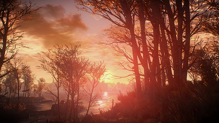 The Witcher 3: Wild Hunt, video game, Wallpaper HD