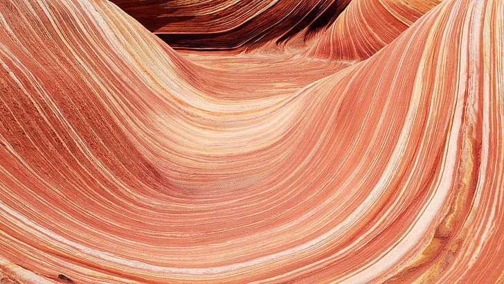 North Coyote Buttes HD, orange curved surface, buttes, coyote, north, HD wallpaper