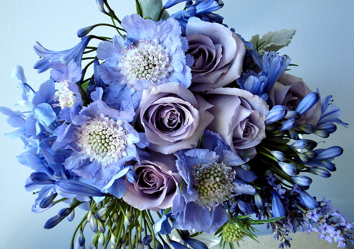 blue and purple flowers, roses, flowers, agapanthus, bouquet, decoration, HD wallpaper