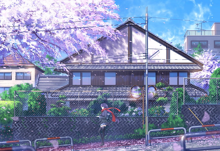 drut, ogrodzenie, słupek, wiosna, Japonia, Sakura, uczennica, kwitnienie, sztuka, mini spódniczka, błękitne niebo, czarne pończochy, drewniany dom, czerwony szalik, Nik, Tapety HD