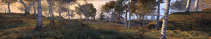 северный олень на поле зеленой травы во время дневной живописи, The Elder Scrolls Online, четырехместный монитор, дикая природа, лес, HD обои