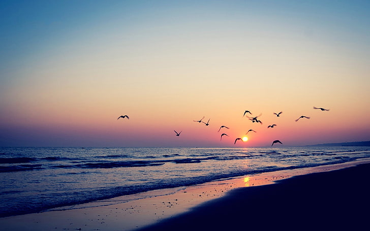 bord de mer, plage, coucher de soleil, Fond d'écran HD