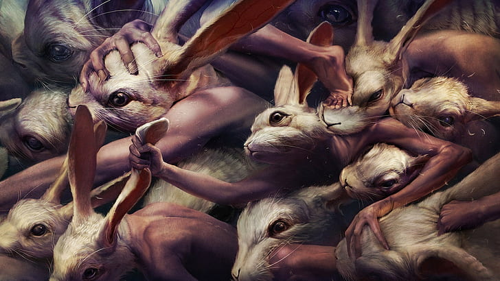 rabbits, HD wallpaper
