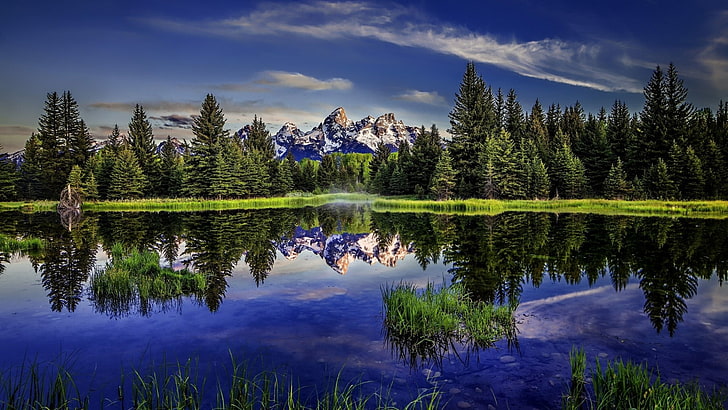 berg, blå himmel, ormflod, USA, wyoming, nationalpark, Grand Teton National Park, Teton Range, moln, reflektion, bergslandskap, träd, sjö, vildmark, himmel, vatten, natur, HD tapet