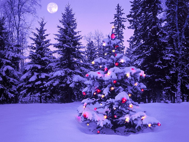 Ёлка, лес, новый год, рождество, ёлка, костры, гирлянда, снег, зима, небо, луна, вечер, HD обои
