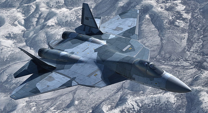 gray fighter jet, The sky, Fighter, T-50, Pak FA, HD wallpaper