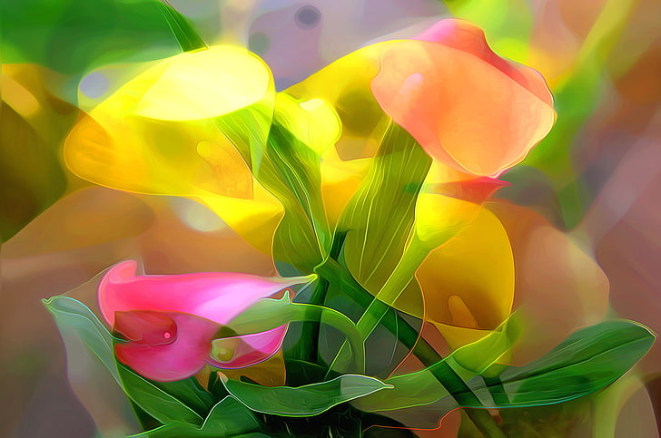 여러 가지 빛깔의 꽃 그림, 선, 꽃, 추상화, 페인트, 꽃잎, 줄기, HD 배경 화면