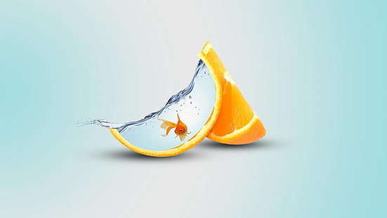 Lebensmittel, Künstlerisch, Fisch, Goldfisch, Manipulation, Wasser, Orange (Frucht), HD-Hintergrundbild HD wallpaper