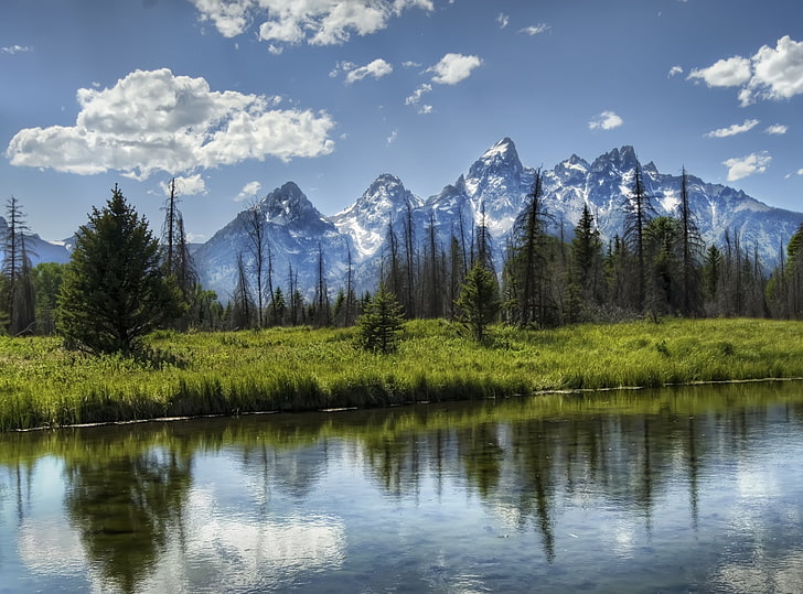 Grand Teton National Park HD Wallpaper, green pine trees, United States, Wyoming, Nature, Trees, River, Forest, Mountains, Park, Clouds, Tetons, HD wallpaper