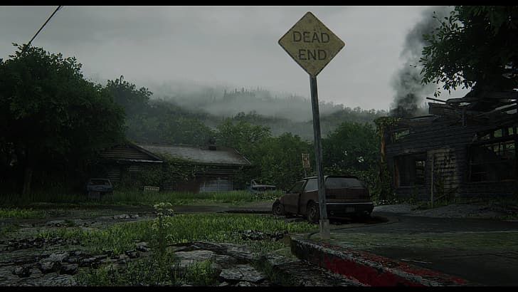 The Last of Us 2 ، Naughty Dog ، Sony، خلفية HD