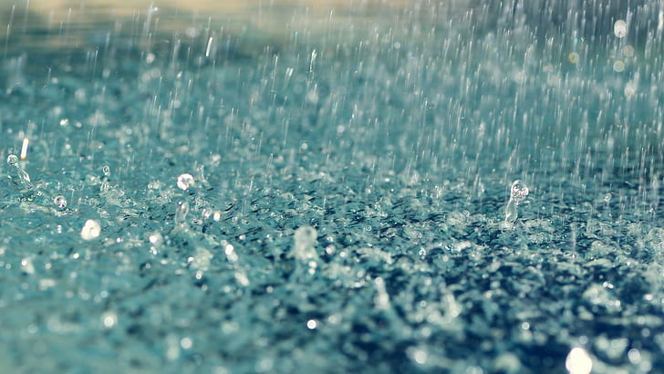 дъжд, дълбочина на полето, вода, капки вода, HD тапет