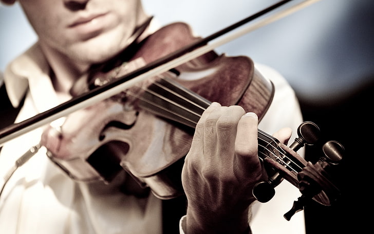 brown violin with bow, music, violin, the game, HD wallpaper