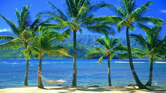 natura, turkus, plaża, morze, woda, podróżować, tropikalny, wakacje, lato, ocean, niebo, wyspa, Wybrzeże, palma, piasek, drzewo, Karaiby, turystyka, kurort, raj, krajobraz, zatoka, prawdziwy laur, relaks, linia brzegowa Brzeg, sceniczny, słońce, idylliczny, wakacje, słoneczny, spokojny, pejzaż morski, fala, horyzont, chmura, zrelaksować się, scena, laguna, czysty, Tapety HD HD wallpaper