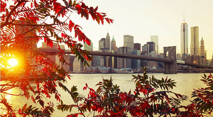 Нью-Йорк, Бруклин, Нью-Йорк, Бруклин, город, мост, осенние листья, HD обои